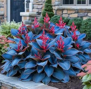 Хоста Грин Фог купить по цене от 669р. в интернет-магазине «Посадика» с доставкой почтой в в Нарьян-Маре и по всей России – [изображение №1].