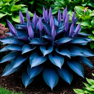 Хоста Сикрет Гров купить по цене от 570р. в интернет-магазине «Посадика» с доставкой почтой в в Нарьян-Маре и по всей России – [изображение №1].