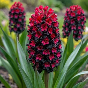 Гиацинт Джем Стоун купить по цене от 2099р. в интернет-магазине «Посадика» с доставкой почтой в в Нарьян-Маре и по всей России – [изображение №1].