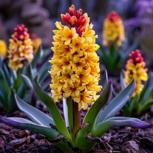 Гиацинт Миднайт Мистери купить по цене от 2099р. в интернет-магазине «Посадика» с доставкой почтой в в Нарьян-Маре и по всей России – [изображение №1].